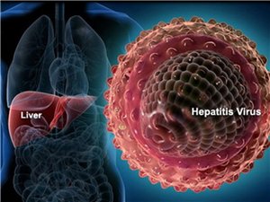 Гепатит С и беременность: в чем опасность «коварного» вируса?