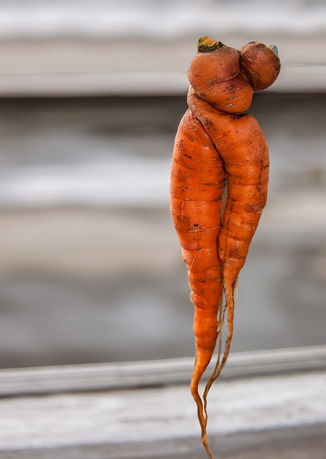 8 лучших масок для лица из моркови